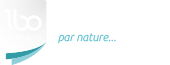 LBO Experts